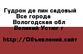 Гудрон де пин садовый - Все города  »    . Вологодская обл.,Великий Устюг г.